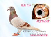 �Ϻ��ϸ����߸��������̸�(ͼ)