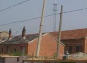 �ź����·ŷɱ�ս����ǧ����(ͼ)