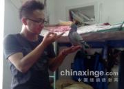 Բ�������й�����ٹ���鳲��(ͼ)