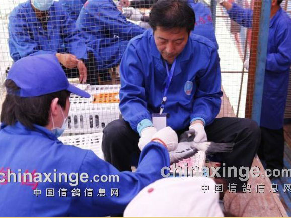 �������ع�������ٴ��¸�(ͼ)