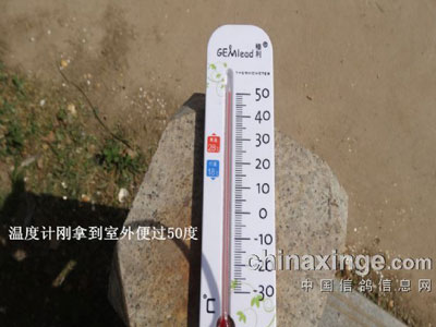 �����µĸ�Ⱥ(ͼ)