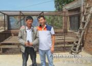 �����Ȼ����԰���� ��Ľ��(ͼ)