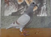 ����������꣺֪���������콱(ͼ)