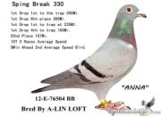 ��������2���ڣ��ҵĹ���˫��(ͼ)