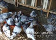 ����Ϯ�������ȿֺ���ԡ(ͼ)