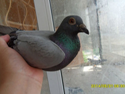 ǧ�����28�����(ͼ)