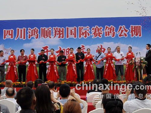 ��˳�裺�������������׵Ĺ���(ͼ)