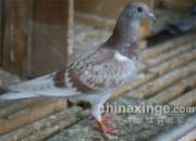 12���Ϻ칫�����ĺ�����(ͼ)