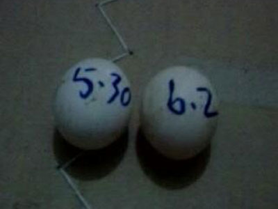 �������¶��� ������