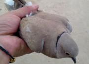 �ؼҹ����� �������桰���䡱(ͼ)