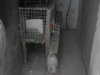 �������еġ�ɵ�ơ�������(ͼ)