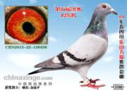 ��ô��ĹǼ���Ҳ���͹��(ͼ)