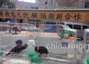 �ջ��ķ᣺ѧ������֣�ݸ���(ͼ)