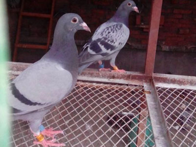 �Һ͸���Լ�ڶ���(ͼ)