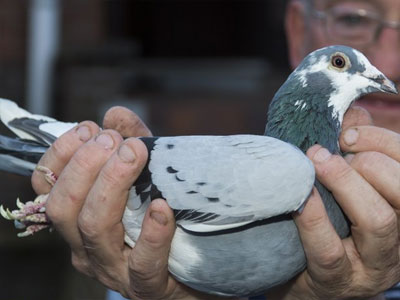 ����ʱ����˹�������ھ���¯(ͼ)