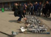 ����Ͽ��᣺������վ�ŷ���Ӱ(ͼ)