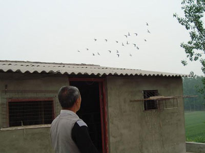 �ϰֵļҹ棺�������ϱ��֧��