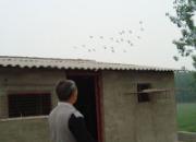 �ϰֵļҹ棺�������ϱ��֧��