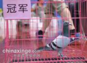 �����α�����佱�������ֳ�(ͼ)