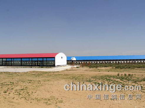 �����߽����ɹ���������(ͼ)