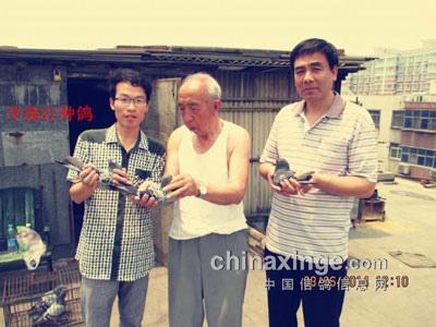 �ɡ���Ѫ��ǰ�������ָ�̸��Զ��(ͼ)