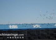 �ι�̫��Э�ṫ��������(ͼ)