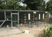 ȥ���ָ��ѼҴ���(ͼ)