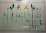 �ҵļ���Զ�̹鳲��(ͼ)
