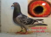 1000���������ռ4��֮һ(ͼ)