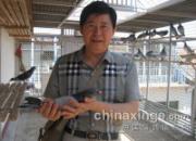 ����ָ���֮�У������������Ӱ(ͼ)