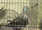 �عˣ�07���������վ�ھ�(ͼ)