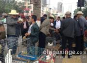 �𱬵��ຣ��������(ͼ)