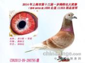 筸����ֵ�����