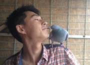 ��һֻ����񽱸���׺���(ͼ)