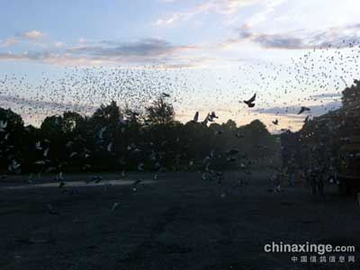 ŷ�޲��ǳ�����Ԥ�棺��������8302��(ͼ)