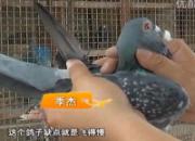 ������꣺��ս2500�������(ͼ)