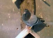 �и�������С��Ҫȥ������(ͼ)