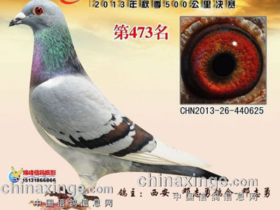 ����ʺ磺���봳�����(ͼ)