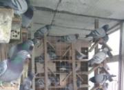 ��̨���������� ���ҷ�ȴ����(ͼ)