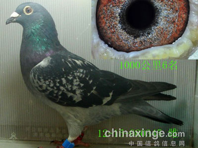 ������ү����ǧ�����λ��֮��(ͼ)