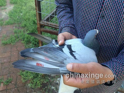 ͨ10ؽԶ̣13鳲24(ͼ)