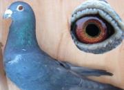 ���񡰺ڱ���������һ�»ؼ�(ͼ)