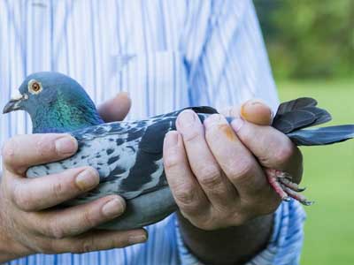 ����ʱ���а�������ھ���¯(ͼ)