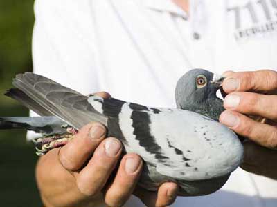 ��ŵ.����˶�ȡ������һ���ھ�(ͼ)