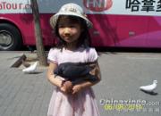 ��������Ӱ�¼�ͦ�Ĺ㳡��(ͼ)