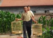 �͸����񣺸����Ĳ���Ļ���(ͼ)