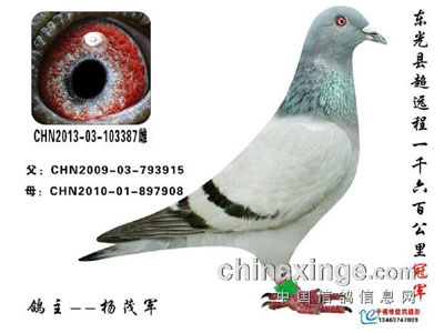 ⳬԶ̹ھ뼰ȫҸ(ͼ)