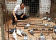 �����������ļ�ǿ���(ͼ)