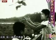 ��Ƶ��2013���������ھ���