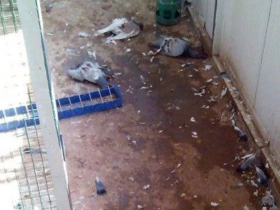 һʱ��������˰���(ͼ)